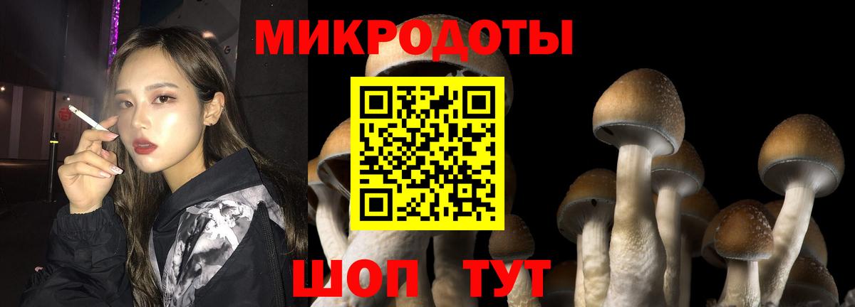 Гудермес  Псилоцибиновые грибы Psilocybine cubensis  Вход с VPN 