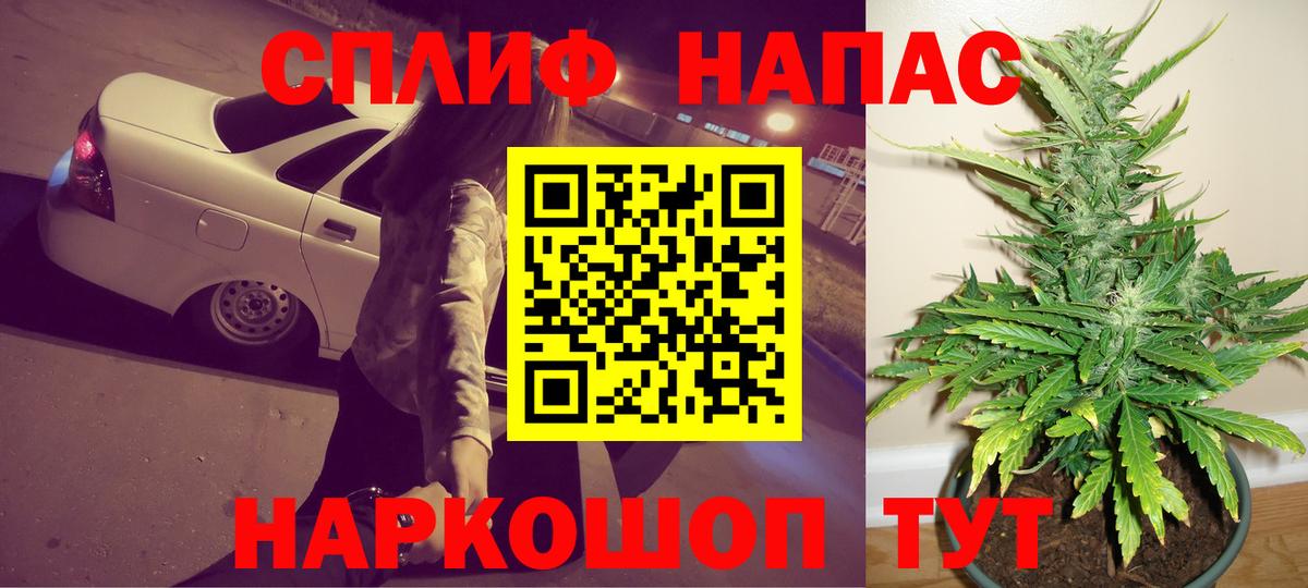 Марихуана конопля Гудермес